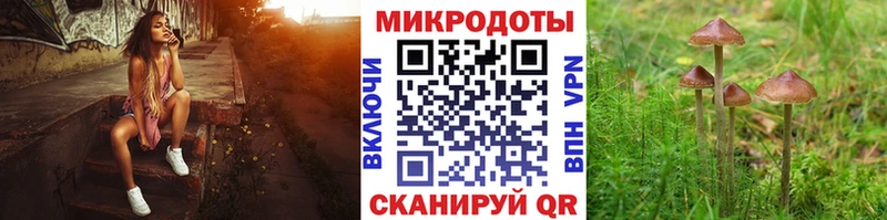 Псилоцибиновые грибы Cubensis  дарнет шоп  Биробиджан 